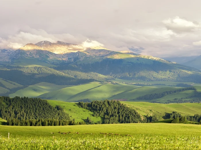 almaty